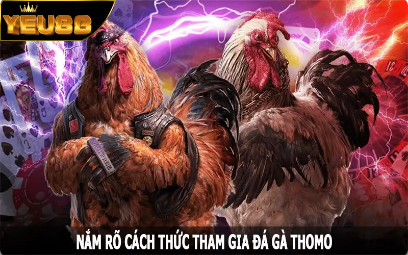 Nắm rõ cách thức tham gia đá gà Thomo đơn giản nhất