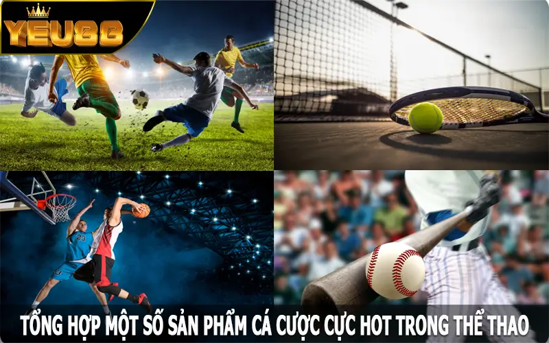 Tổng hợp một số sản phẩm cá cược cực hot trong thể thao Yeu88