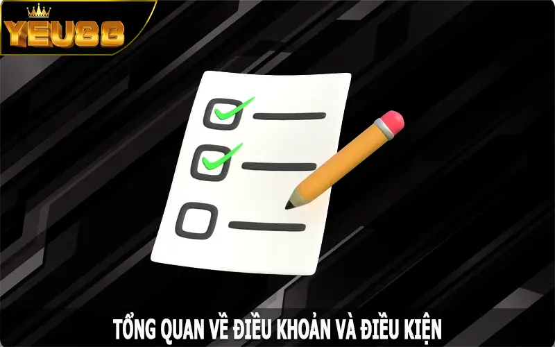 Tổng quan về điều khoản và điều kiện